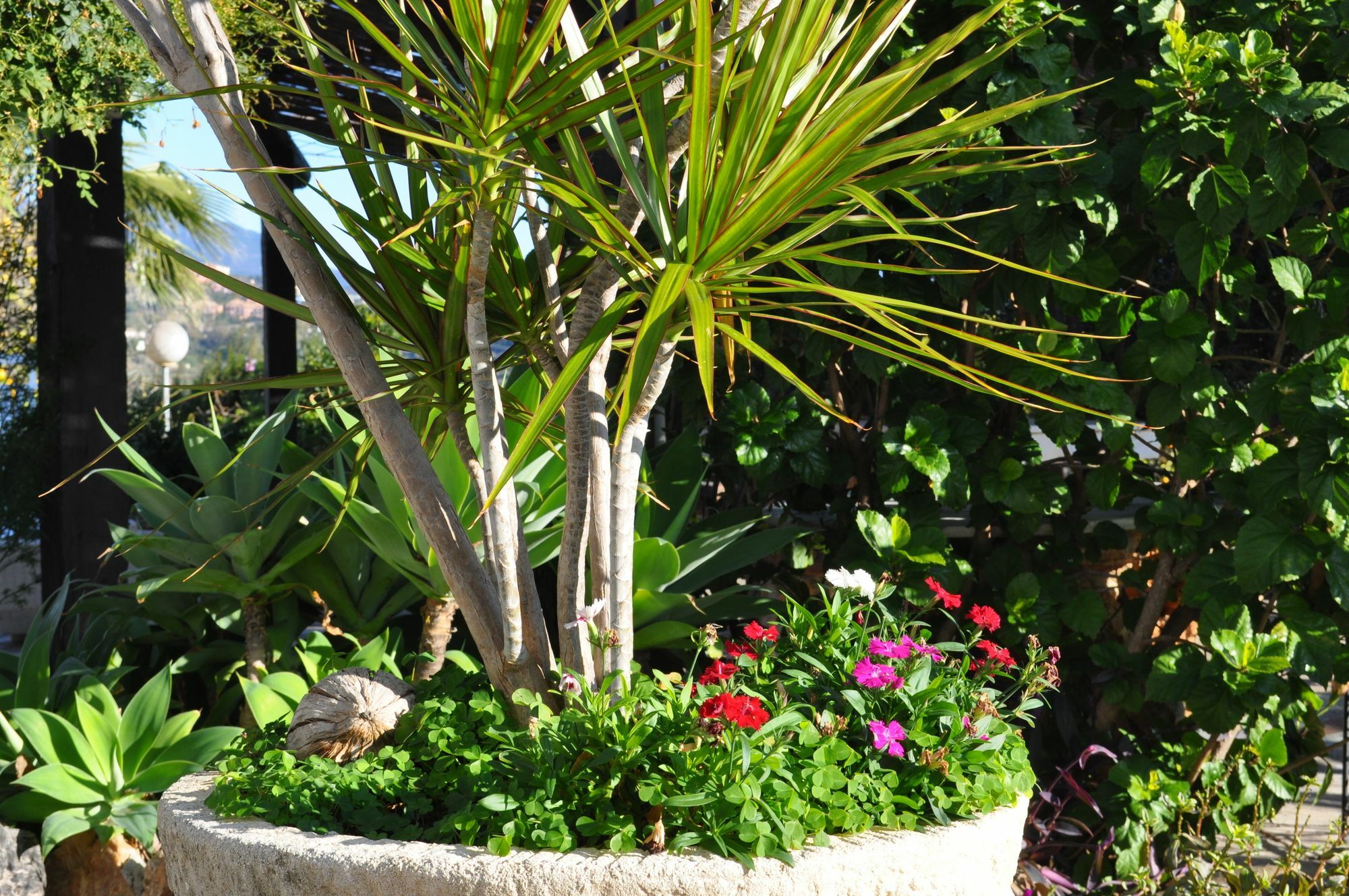 Hotel Casa Silca (Adults Only) Marbella Exterior foto